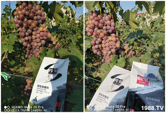 �îa(ch��n)Ʒ����������һ�t���΢������������t���͑��挍������