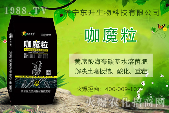 ��(y��u)�|(zh��)��Ʒ�����u���N����(j��)���|���\(ch��ng)�д����̣��ڴ����ļ�����