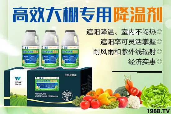 高溫對黃瓜有什么危害？大棚黃瓜降溫措施怎么做？