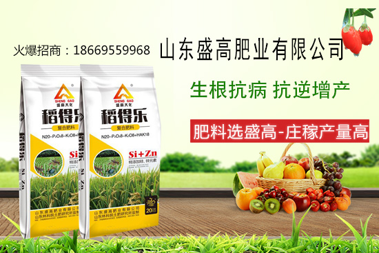 盛高肥業(yè)怎樣，有哪些優(yōu)勢？公司主打產(chǎn)品有哪些？