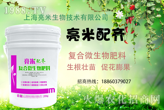 上海亮米都有哪些產(chǎn)品？上海亮米產(chǎn)品推薦！