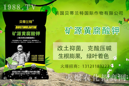 ���ÿ���ô�B(y��ng)�����ÿ��B(y��ng)ֳ������ע�����(xi��ng)��