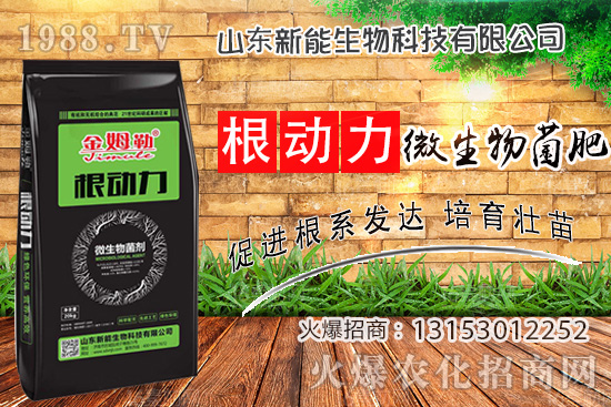 作物生根用什么肥？使用“微生物菌肥”有什么優(yōu)勢？