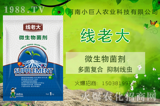 ���Y���xզ���Σ����Y���x����-�����ϴ󡱶���ͺ������ƾ��x��