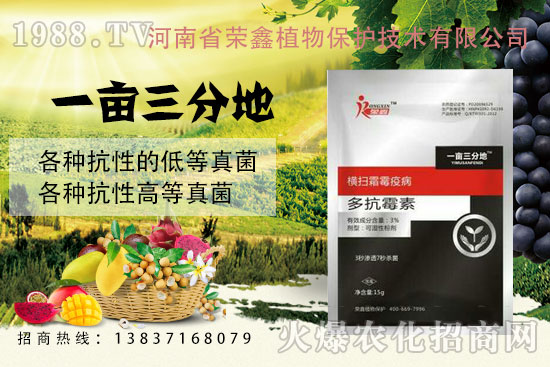 白粉、繡病、霜霉病害真難打？防治藥劑有哪些？殺菌產(chǎn)品匯總！