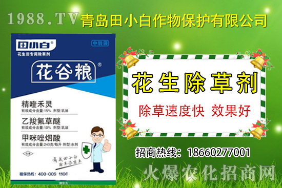 花生田雜草種類(lèi)多，花生除草劑怎么選？花生除草用藥推薦！