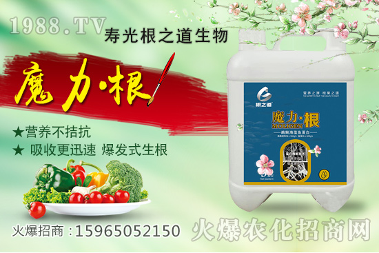 要想作物好，根系更重要！壽光根之道怎么樣？有哪些爆款產(chǎn)品？