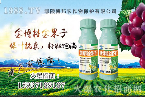 花生早衰減產(chǎn)嚴重該咋辦？花生早衰原因，種植戶如何避免？