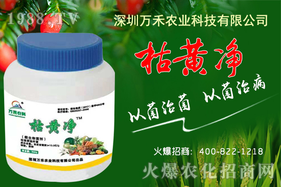 枯黃凈能防治哪些病害？枯黃凈適用作物及使用方法！
