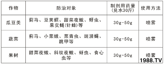 2.4%阿維·氯氰能打薊馬嗎？2.4%阿維·氯氰使用方法！