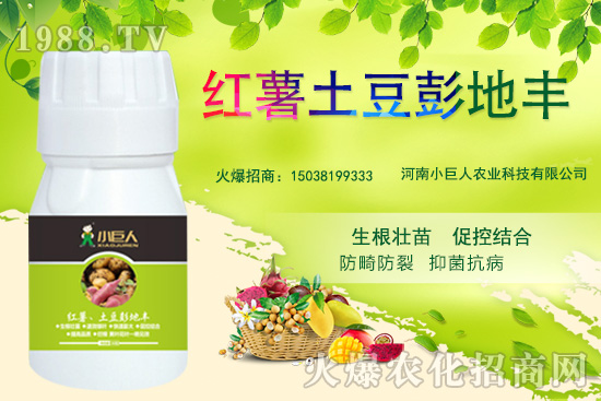 河南小巨人怎么樣？公司有什么優(yōu)勢(shì)？主推產(chǎn)品有哪些？