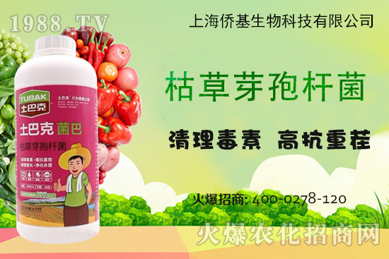 上海僑基“土巴克”-專注土壤病害防控和土壤修復(fù)15年！