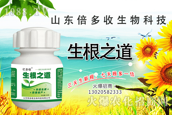 作物根系差，產(chǎn)量低？“生根之道”快生新根，抗病增產(chǎn)無(wú)憂！