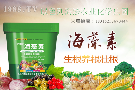 海法農(nóng)業(yè)為啥這么牛？海法農(nóng)業(yè)生產(chǎn)特色是什么？主打哪些產(chǎn)品？