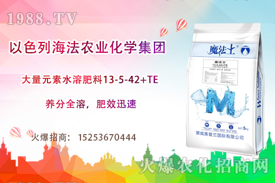 海法農(nóng)業(yè)為啥這么牛？海法農(nóng)業(yè)生產(chǎn)特色是什么？主打哪些產(chǎn)品？