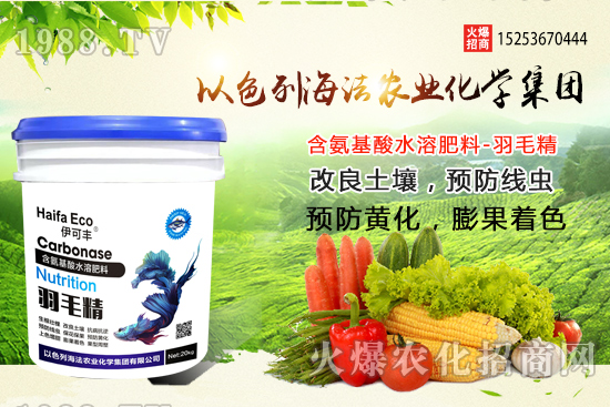 海法農(nóng)業(yè)為啥這么牛？海法農(nóng)業(yè)生產(chǎn)特色是什么？主打哪些產(chǎn)品？