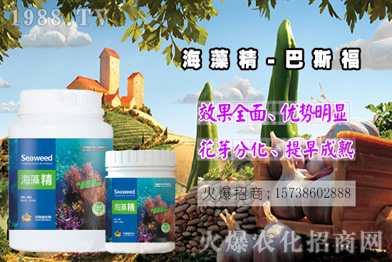  還不了解海藻精是啥？那你就真的out了！海藻精作用有多大？