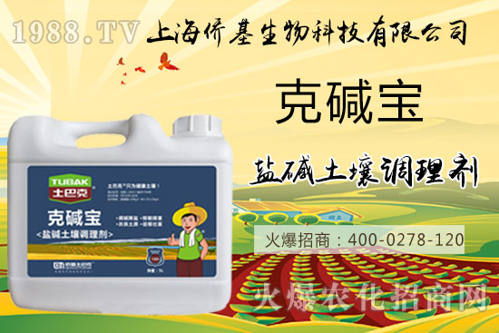 土壤鹽堿危害大，“克堿寶”消除鹽堿，還您一片沃土！