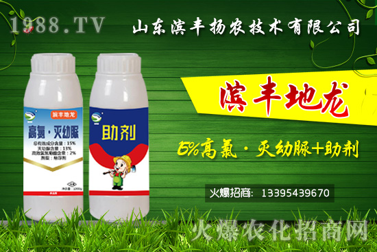 黑頭蛆、地蛆、根蛆如何有效防治？“15%高氯·滅幼脲+助劑”殺蛆雙保險(xiǎn)！	