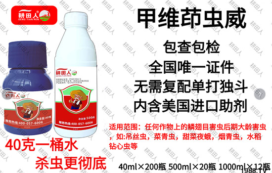 ����Ʒ�r(n��ng)ˎ�������¼Z�}������������ô�������x���a(ch��n)Ʒ����Щ��