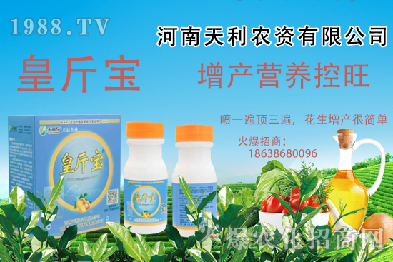  花生施肥常見問題有哪些？花生需肥規(guī)律及施肥方案講解！