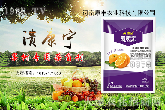 柑橘潰瘍病又到高發(fā)期，康豐農(nóng)業(yè)“潰康寧”防治效果怎么樣？