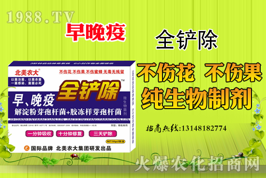 ������Σ�����أ������߷��δ�ʩ����Щ��