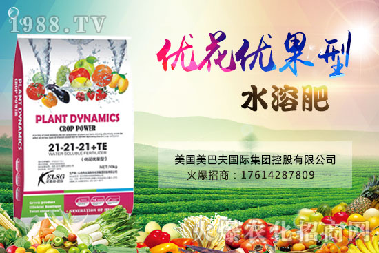 果實(shí)果小、不膨果？不妨試試“優(yōu)花優(yōu)果型水溶肥”，著色美果又增甜！