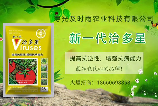 番茄病毒病你知道幾種？怎樣合理防治番茄病毒??？(內(nèi)附防治方法) 