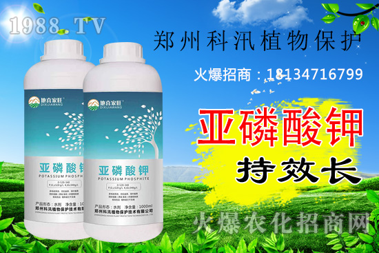 ������⛹�Ч�������C(j��)������Щ������������õĺ���᣿