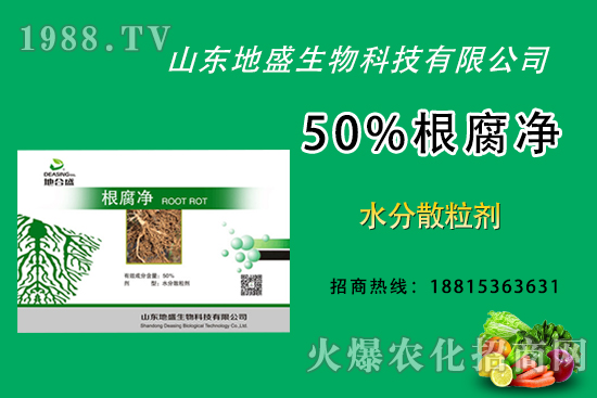 根腐病危害重，如何做好根腐病的防治？這樣做50%根腐凈！