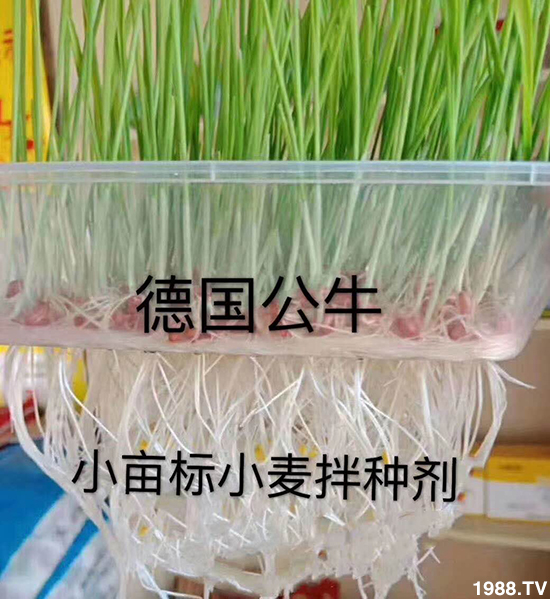 С����N�����a(ch��n)��С����N������x����С����N��Ʒ���x��