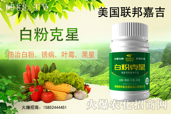 白粉病強勢來襲！反復(fù)發(fā)作真的治不好么？作物白粉病劑推薦！