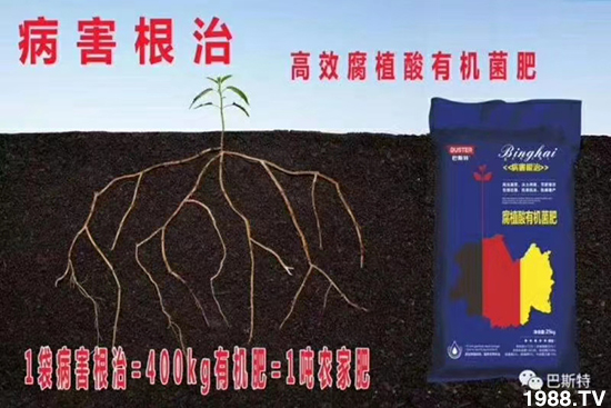     如何讓種植變得更輕松？一個套餐，全面配方，巴斯特大姜營養(yǎng)套餐方案！