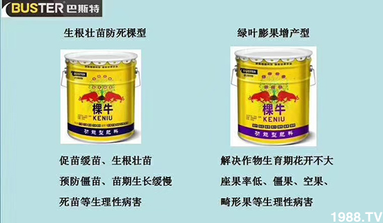     如何讓種植變得更輕松？一個套餐，全面配方，巴斯特大姜營養(yǎng)套餐方案！
