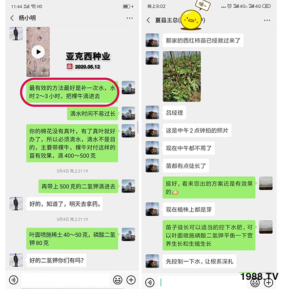     如何讓種植變得更輕松？一個套餐，全面配方，巴斯特大姜營養(yǎng)套餐方案！