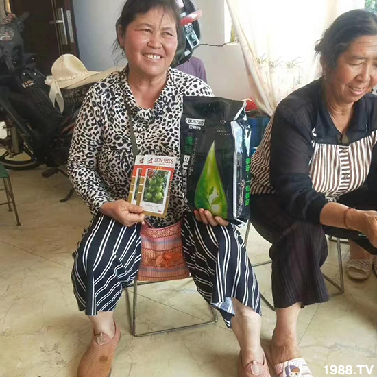     如何讓種植變得更輕松？一個套餐，全面配方，巴斯特大姜營養(yǎng)套餐方案！