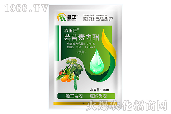 �|̦�؃�(n��i)����ʲô��(y��u)��(sh��)���|̦�؃�(n��i)����(f��)�䷽������Щ��