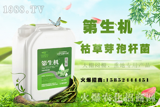 豆角只長蔓不開花啥原因？如何促花促莢提產量？