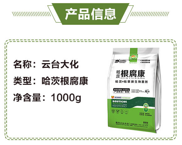 ���ĸ�����-���_��_03