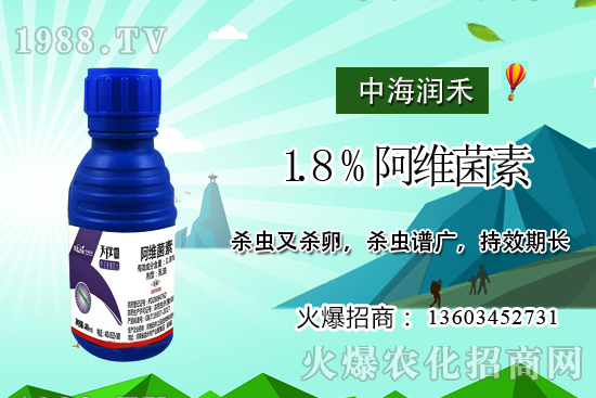 斜紋夜蛾高發(fā)期，防治工作迫在眉睫！斜紋夜蛾如何用藥？