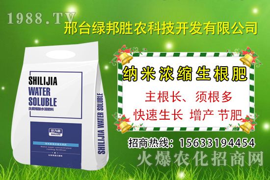 番茄死棵究竟哪些原因所致，如何預(yù)防番茄死棵發(fā)生？