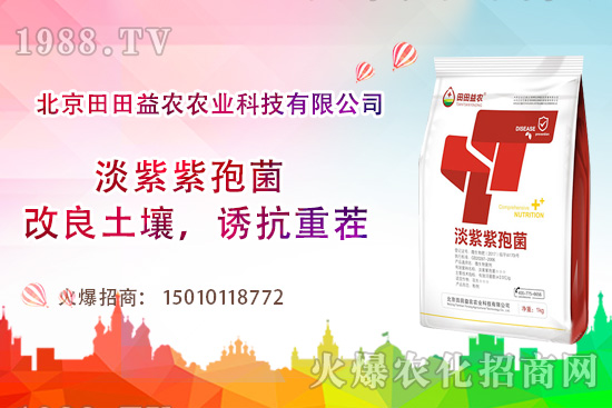 西紅柿需肥特點有哪些，西紅柿夏季如何管理？
