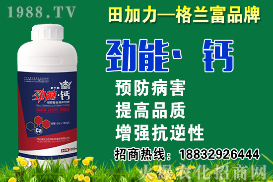 2020���}��ʲô�r��N�����}���NֲҪע����Щ���}��