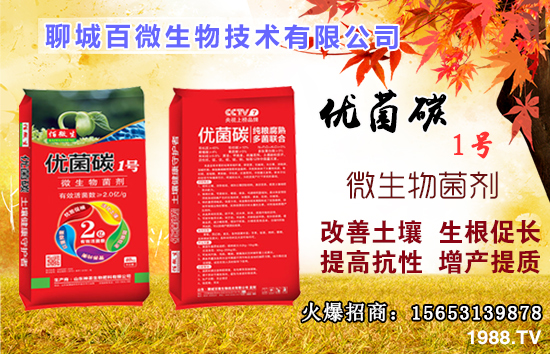 硼元素有什么作用？果樹缺硼有什么后果？什么時候補硼？