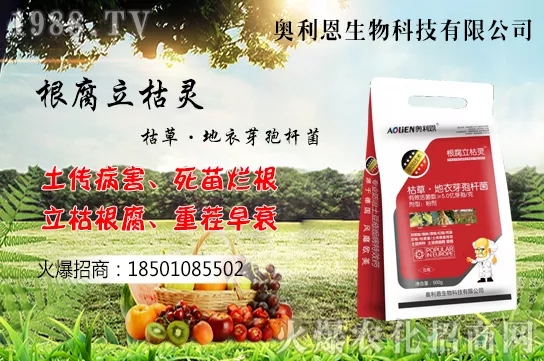 �S����ʲô����(ji��)�������S���˷Nֲ������B��