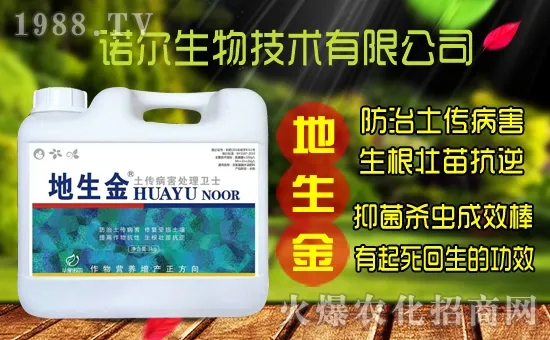 �S���˷N����ô�ɼ����S���˷N��r(ji��)������Xһ����