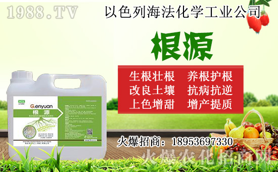 �o������ôǤ�����o����Ǥ��r�g��Ǥ�己ֳ������