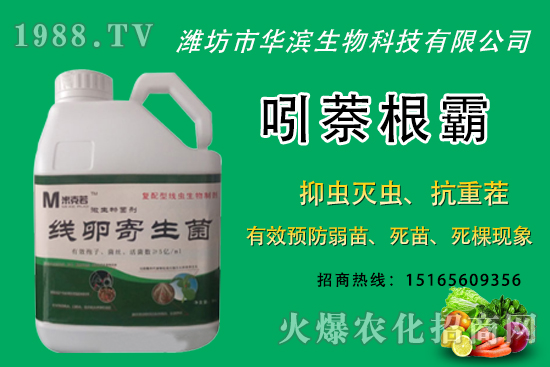 �o(w��)�����NֲʲôƷ�N�^�����o(w��)����Ƥ���ԳԆ����Nֲǰ�����ӣ�