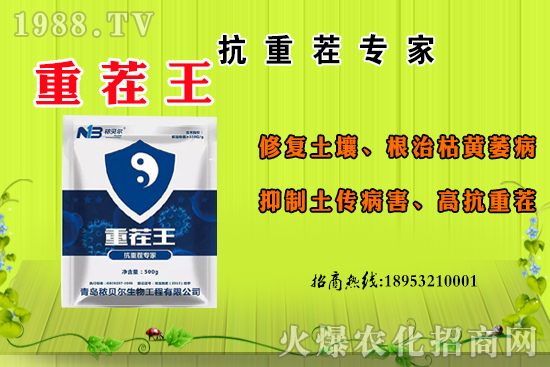 ɽ��ʲô����(ji��)������ɽ�����Ҫ�a������������ôʳ�ã�